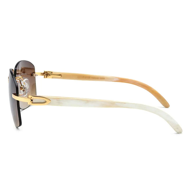 The Monarch Aviator