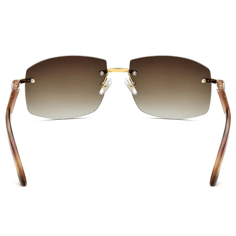 The Monarch Aviator